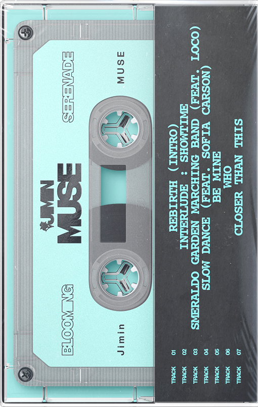 blank tape back image