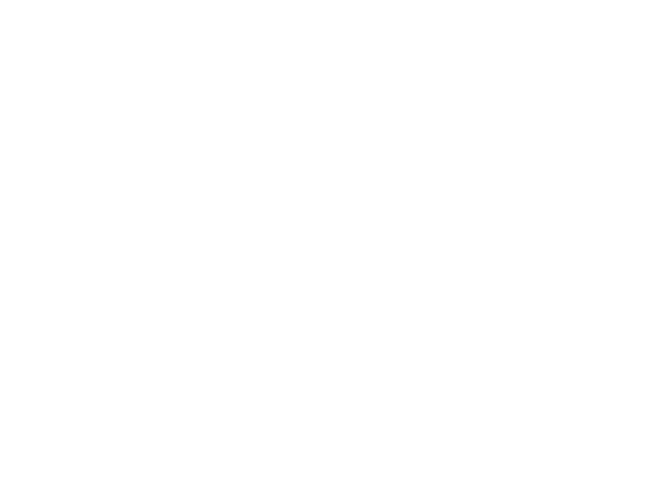 The Astronaut Description