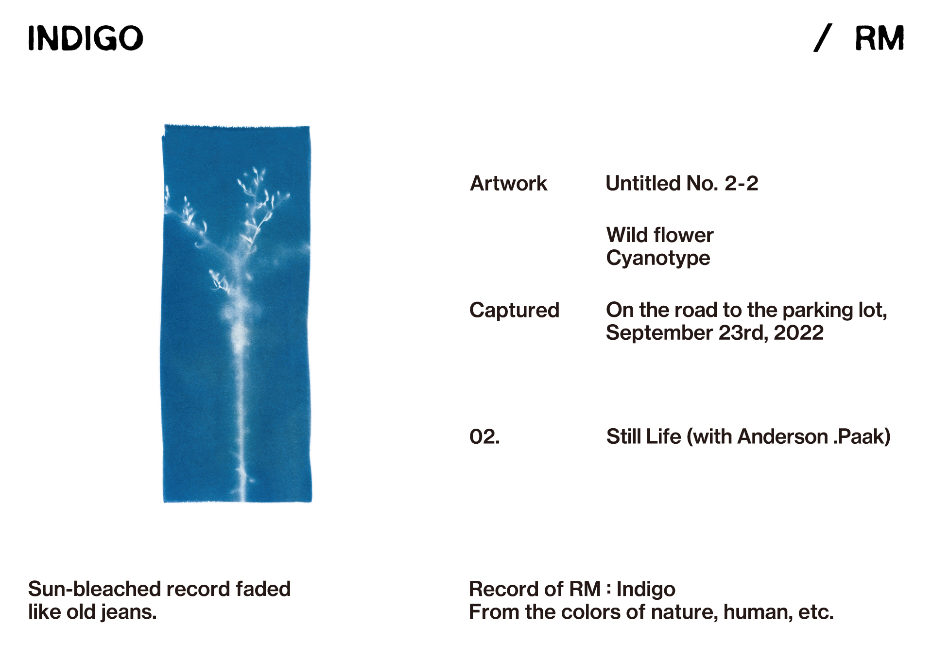 bts-s-rm-debuts-on-uk-s-official-albums-chart-with-indigo-soompi